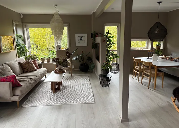Modern & Cozy House